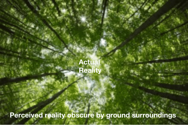 Screen Shot 2019-03-28 at 10.03.36 AM.png